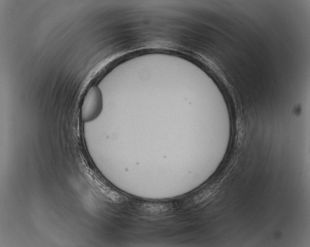 X0000115580931200912081022