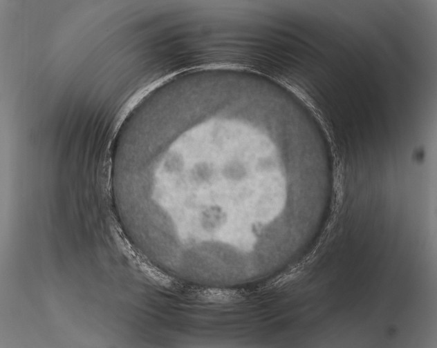 X0000115580933200912081022