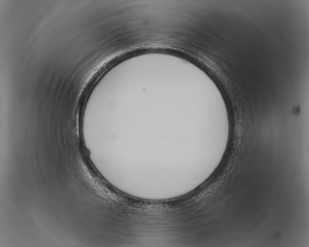 X0000115580934200912081022