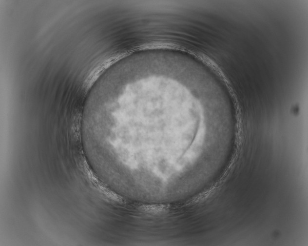 X0000115580937200912081022