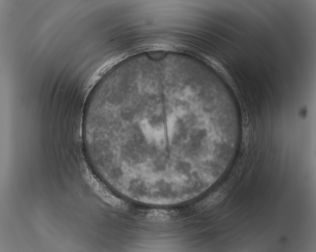 X0000115580938200912081022