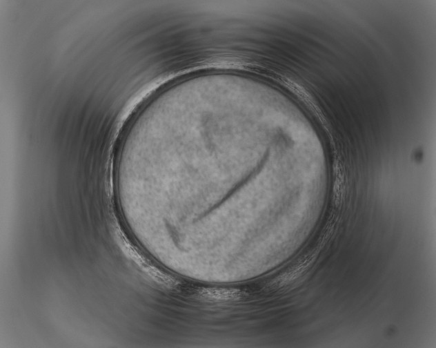 X0000115580939200912081022