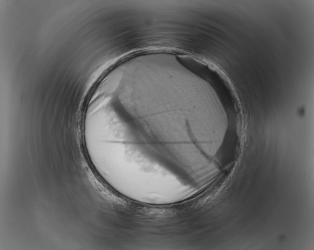 X0000115580941200912081022