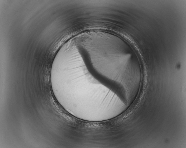 X0000115580945200912081023