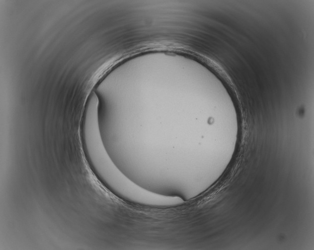 X0000115580946200912081023