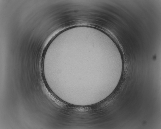 X0000115580947200912081023