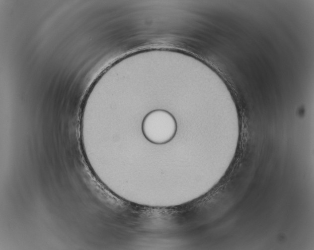 X0000115580950200912081023