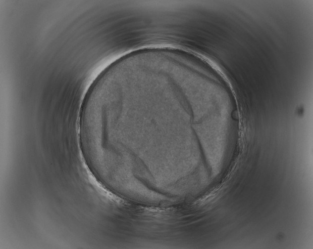 X0000115580951200912081023