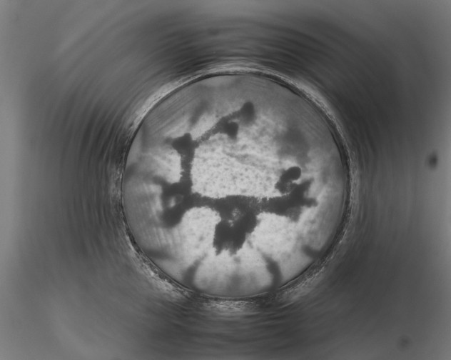 X0000115580953200912081023