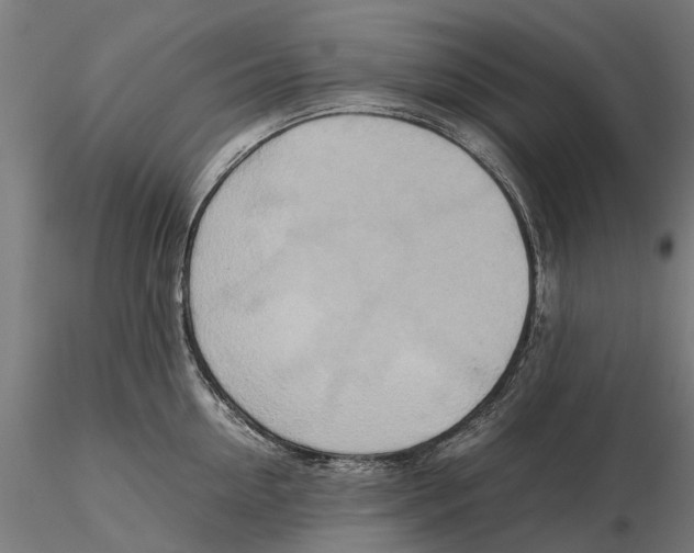 X0000115580954200912081023