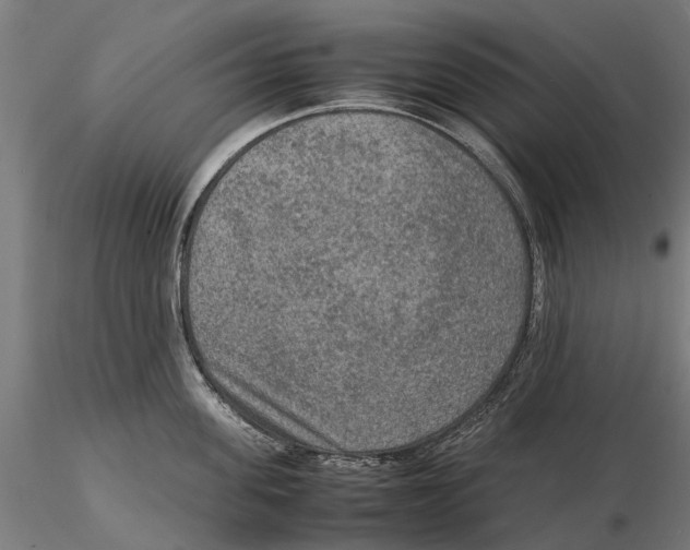 X0000115580955200912081023