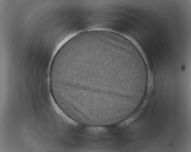 X0000115580957200912081023