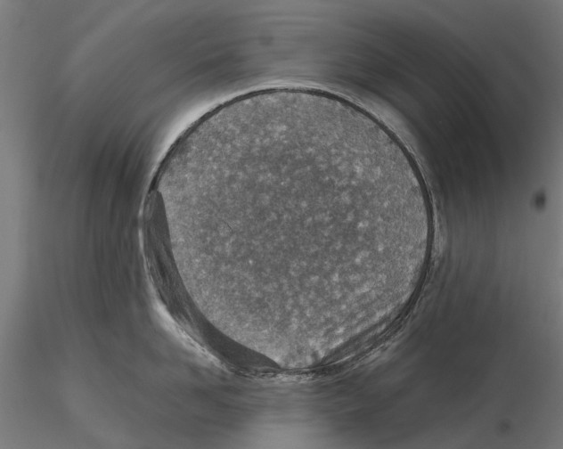 X0000115580958200912081023