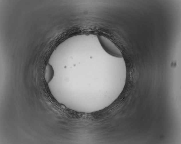 X0000115580961200912081022