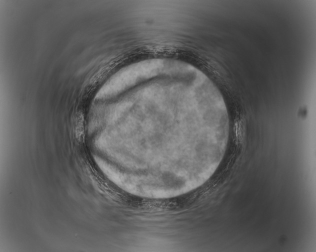 X0000115580963200912081022