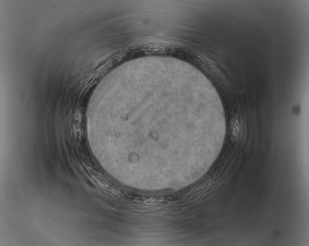 X0000115580964200912081022