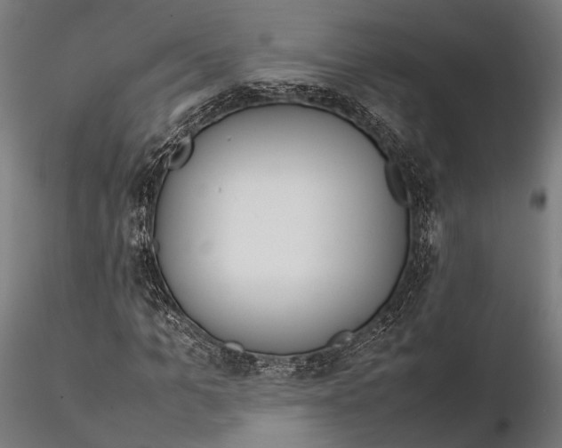 X0000115580965200912081022