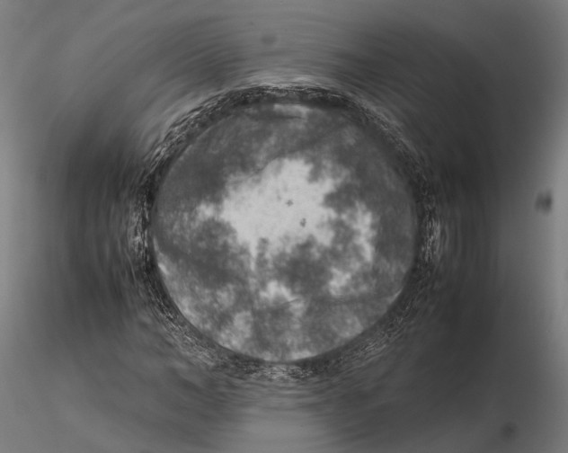 X0000115580966200912081022