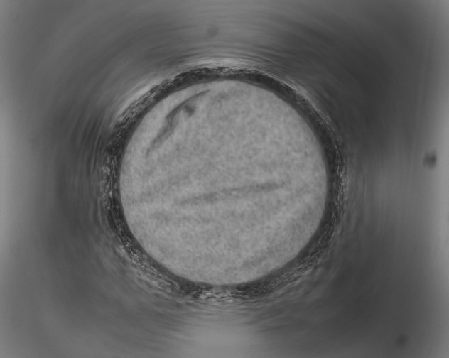 X0000115580967200912081022