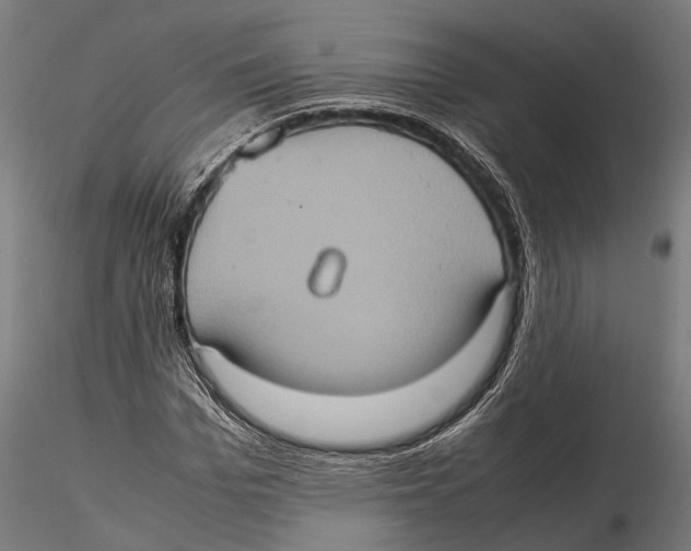 X0000115580969200912081022