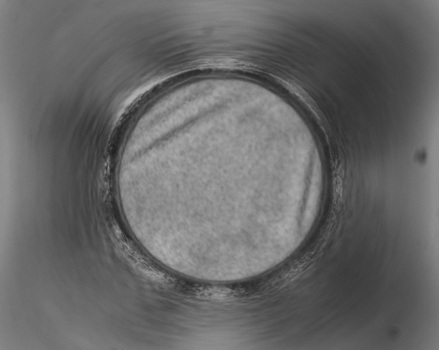 X0000115580971200912081022