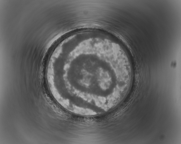 X0000115580975200912081022