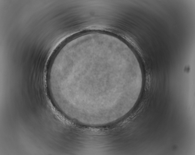 X0000115580976200912081022