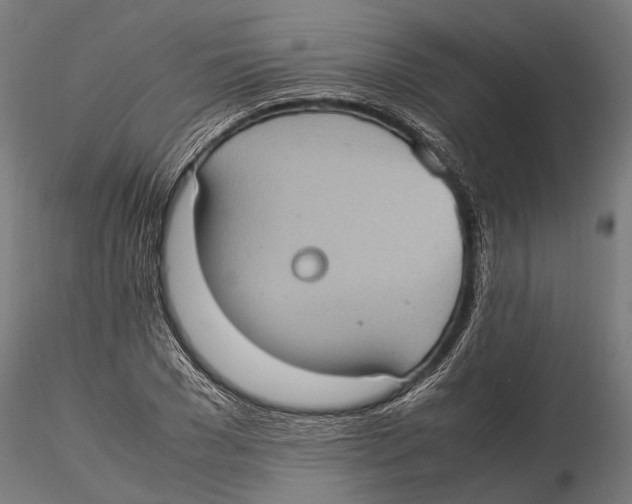 X0000115580977200912081022