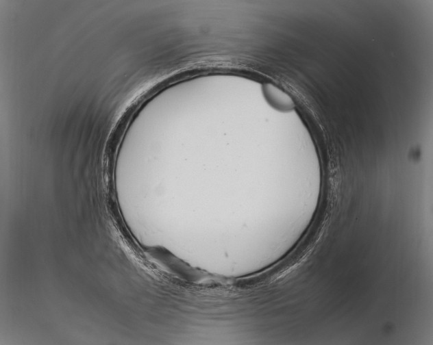 X0000115580981200912081022