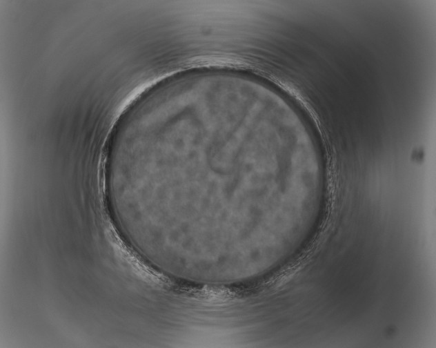 X0000115580983200912081022