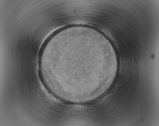 X0000115580984200912081022