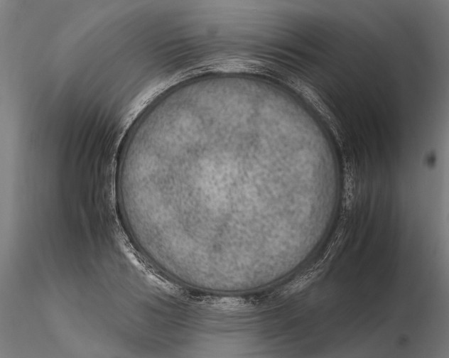 X0000115580986200912081022