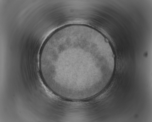 X0000115580988200912081022