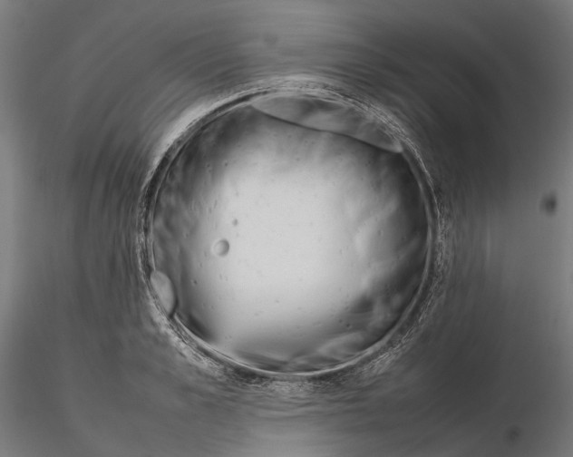 X0000115580989200912081022