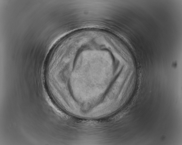 X0000115580991200912081022