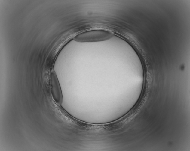 X0000115580993200912081021