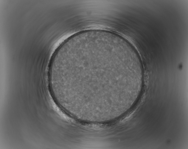 X0000115580995200912081021