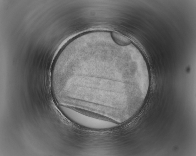 X0000115580996200912081021