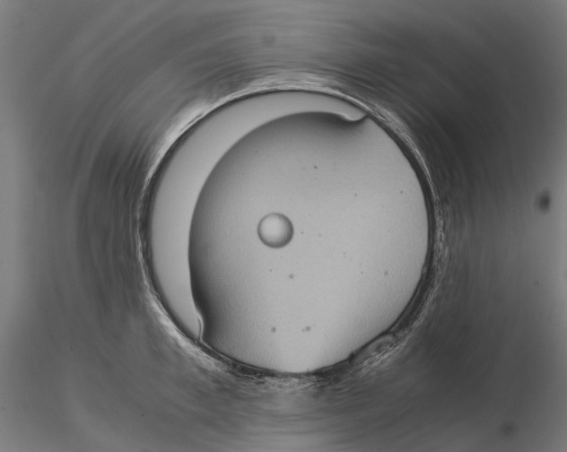 X0000115580997200912081021