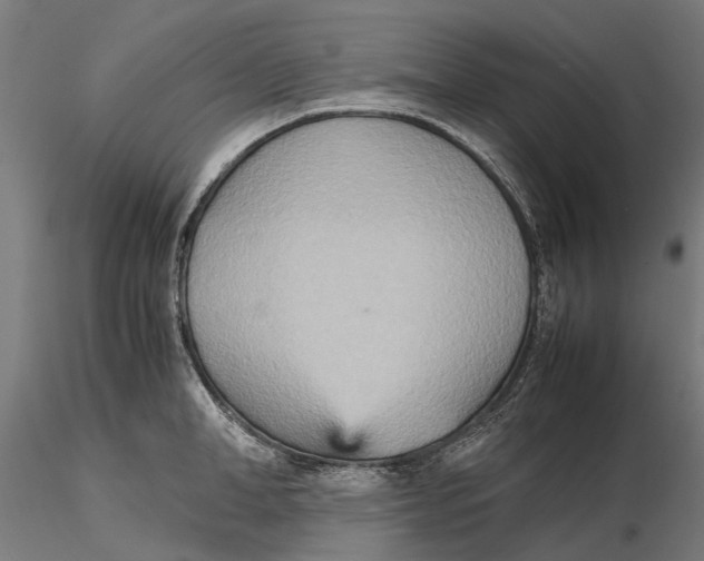 X0000115580998200912081021