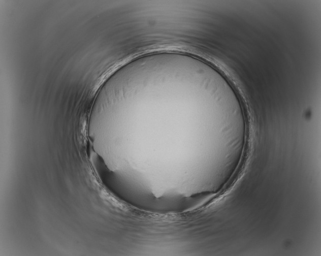 X0000115581001200912081021