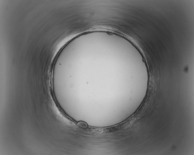 X0000115581003200912081021