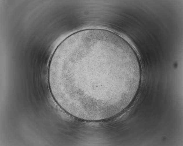 X0000115581004200912081021