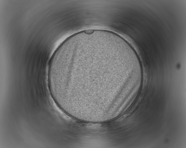 X0000115581006200912081021