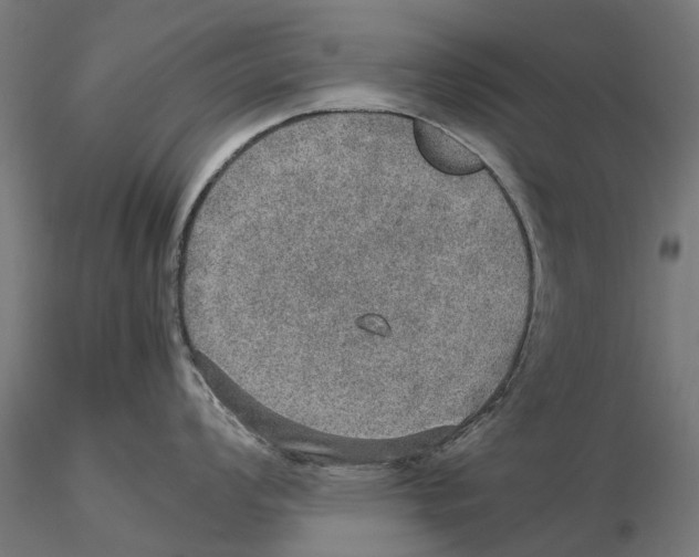 X0000115581008200912081021