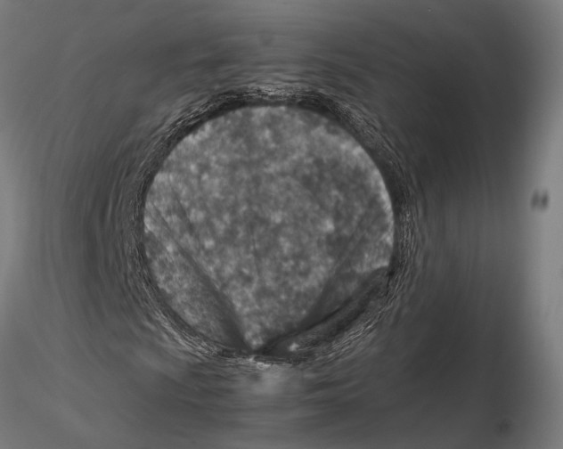 X0000115581009200912081021