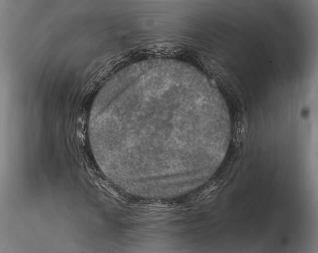 X0000115581010200912081021