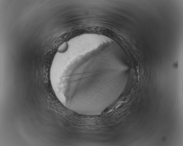 X0000115581013200912081021