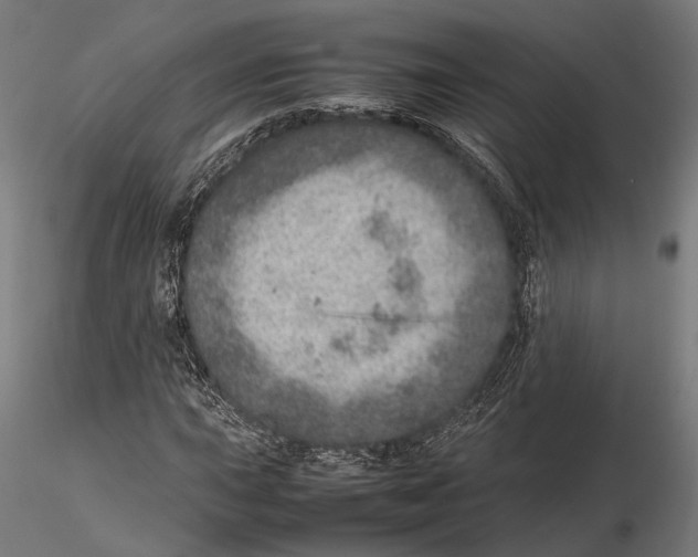 X0000115581015200912081021