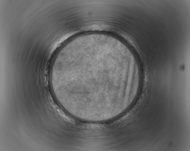 X0000115581018200912081021